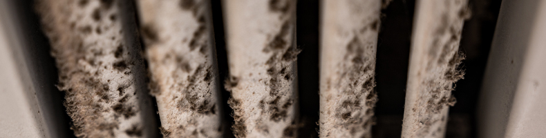 Why Clean Your Air Ducts From an Air Duct Cleaning Company in Reading and York, PA