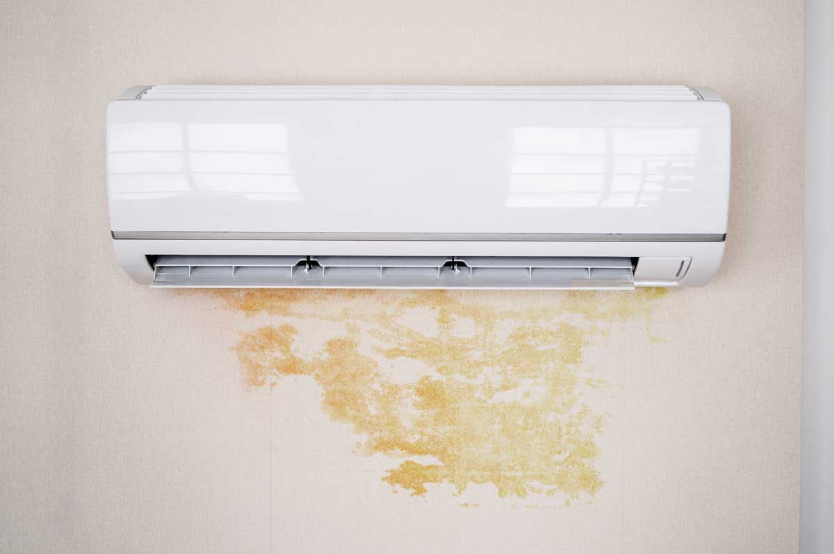 Air Duct Mold Removal in Mount Joy, PA, Mechanicsburg, Lancaster County, PA, Harrisburg, Lancaster, Berks County, PA